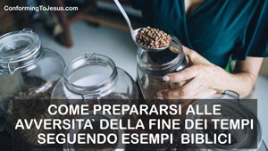 Scopri come si preparano i cristiani di fronte all'interruzione della catena di forniture alimentari e alla scarsita` di cibo seguendo l'esempio di Noe` e di Giuseppe. Scopri l'aspetto pratico della preparazione e sopravvivenza nelle avversita` della fine dei tempi da un mero punto di vista biblico.
