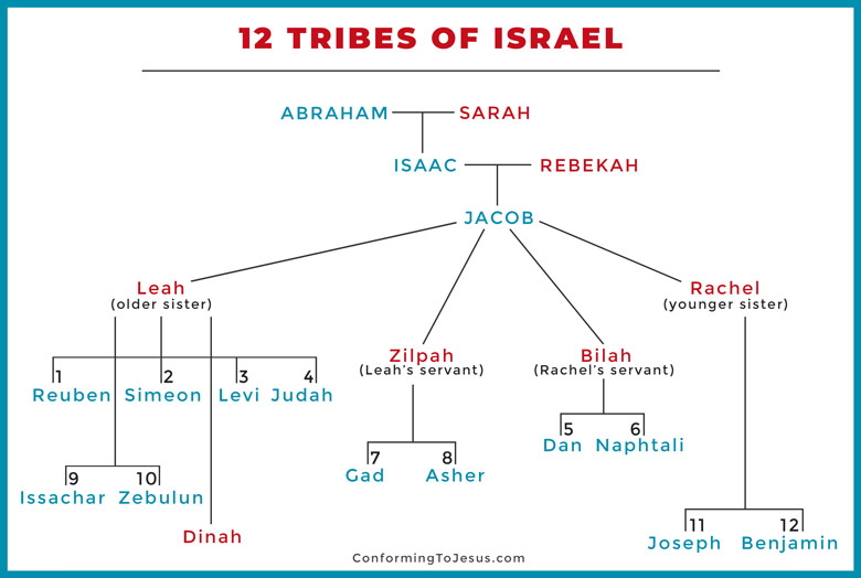 The 12 Tribes of Israel descended from the patriarch Jacob, son of Isaac an...