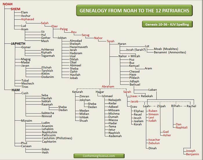 Adam And Family Tree Chart Free