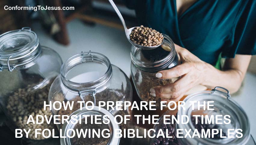Discover how Christians prepare for the Interruption of the Food Supply Chain and Food Shortage following Noah's example. Learn what Emergency End Time Preparedness and Survival look like from a Biblical Perspective.