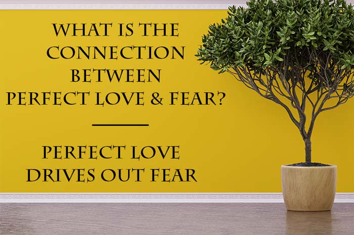 biblical definition of perfect love