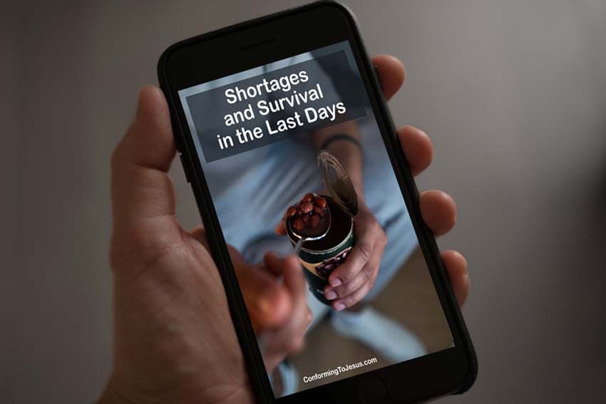 Discover how Christians prepare for the Interruption of the Food Supply Chain and Food Shortage following Noah's example. Learn what Emergency End Time Preparedness and Survival look like from a Biblical Perspective.